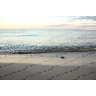 Sea